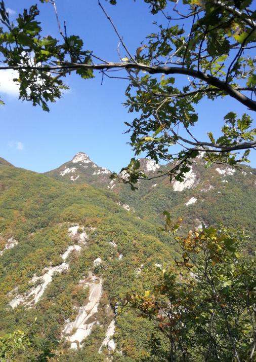 凝聚与分离：《歇马山庄》中的女性羁绊，与对农村生活困境的剖析