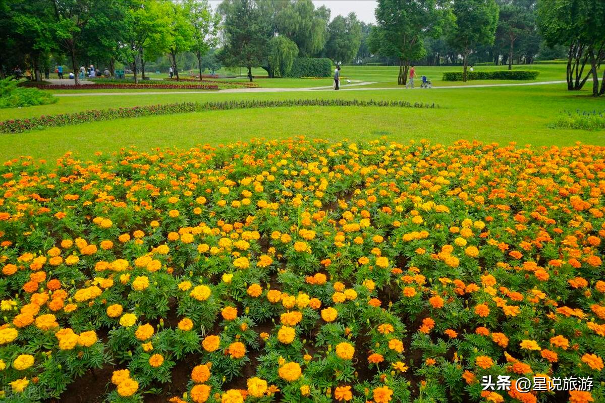 黑龙江省有几个5a级景区,黑龙江玻璃栈道景区有哪些