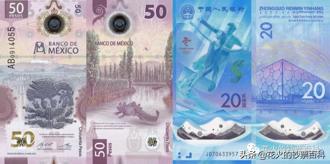 预测一下2021年的IBNS世界最佳纸币，我国冬奥塑料钞入选提名