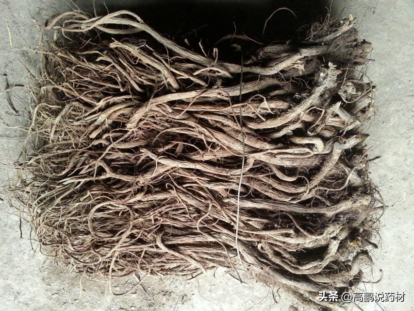 高鹏说药材：市场关注品种牡丹皮、川牛膝、天南星等行情走势简析