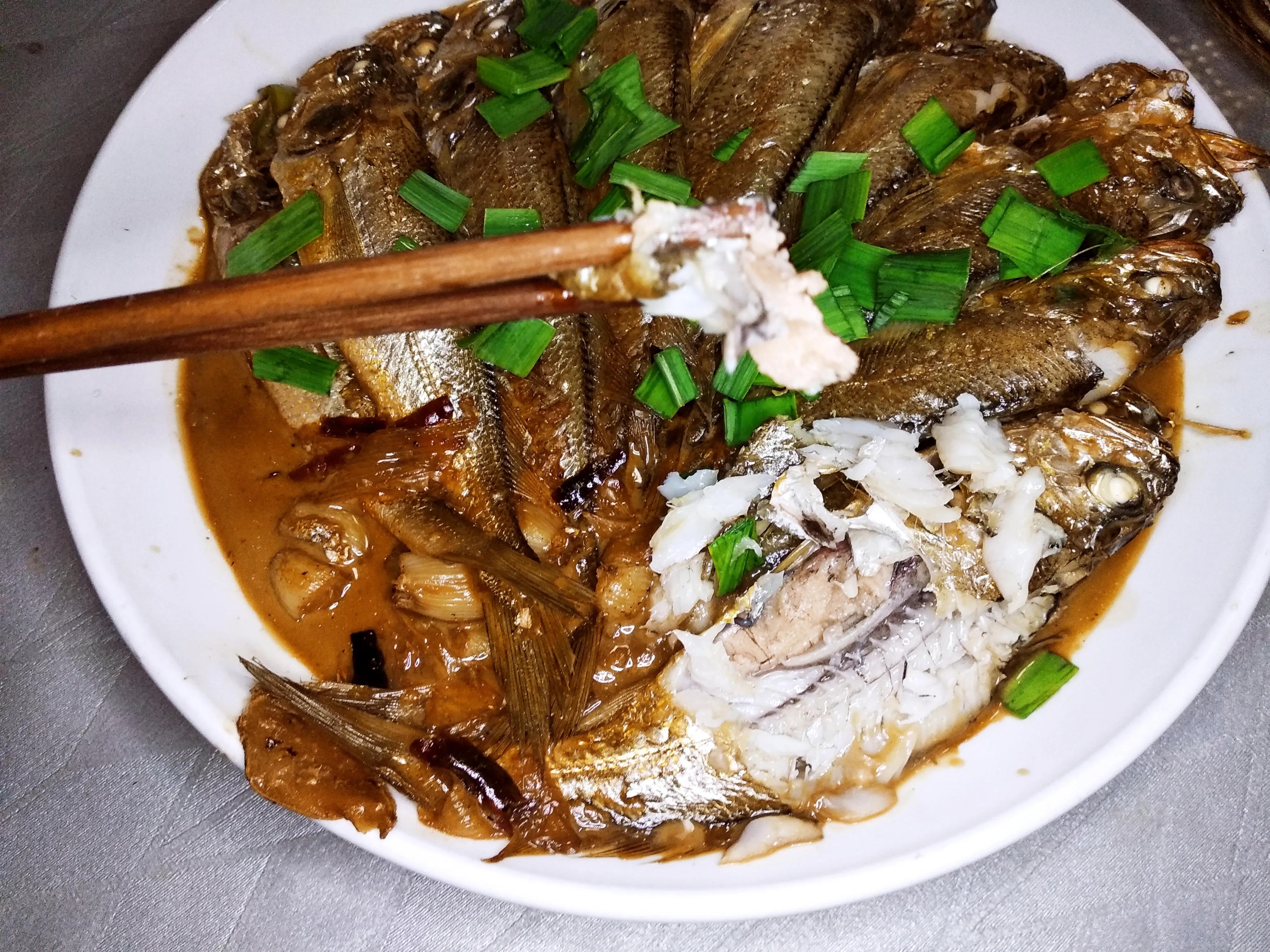 30种最常吃的海鱼图片大全,比较常见可以吃的海鱼