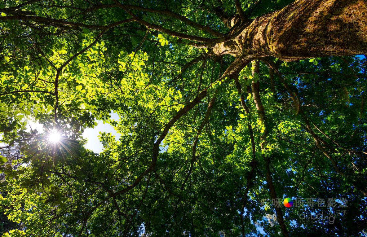 旅行家的眼神，看到不一样的人文澳洲（四之一）