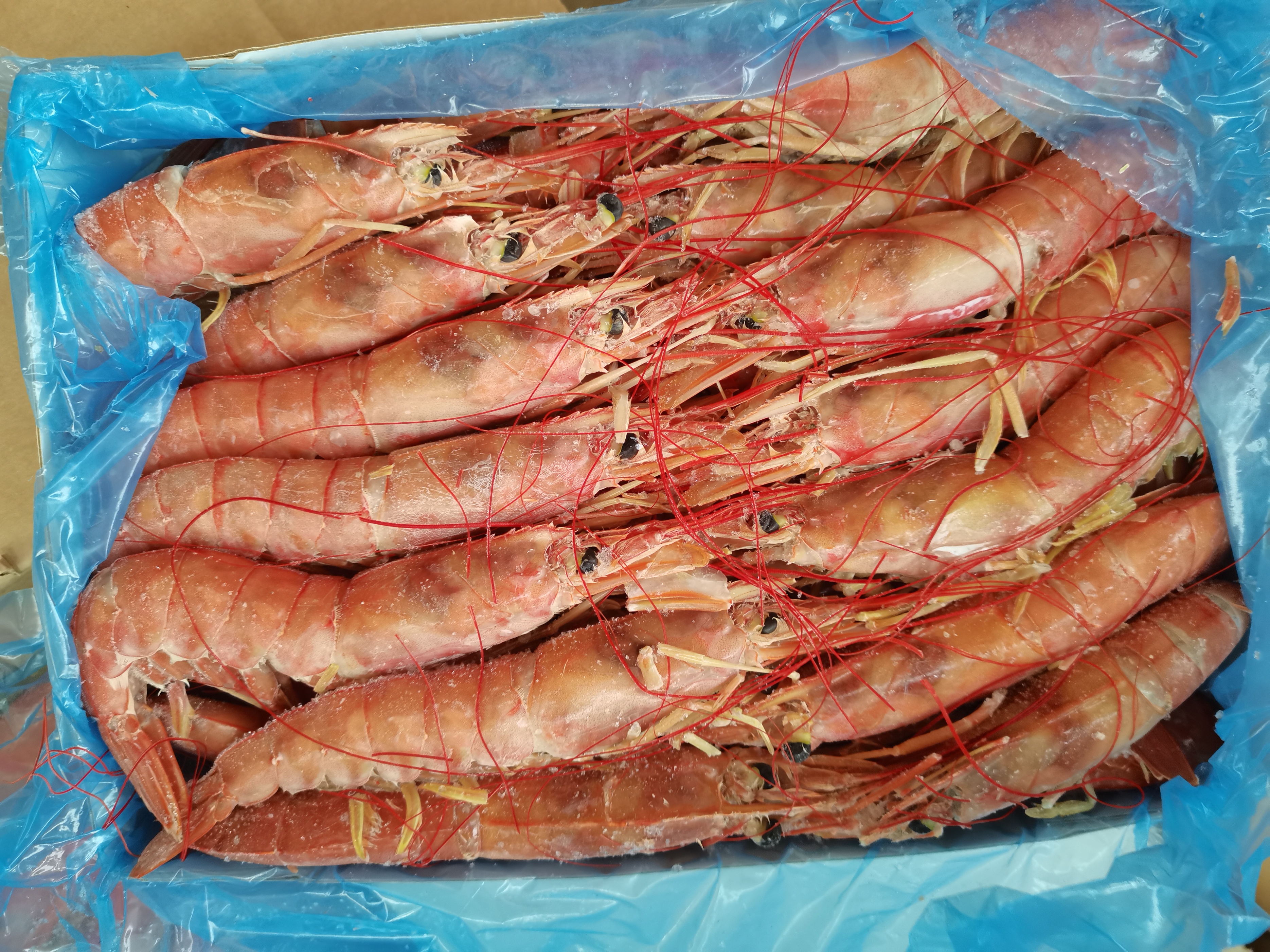 黑虎虾红虾白虾甜虾,北极甜虾和北极小甜虾有什么区别