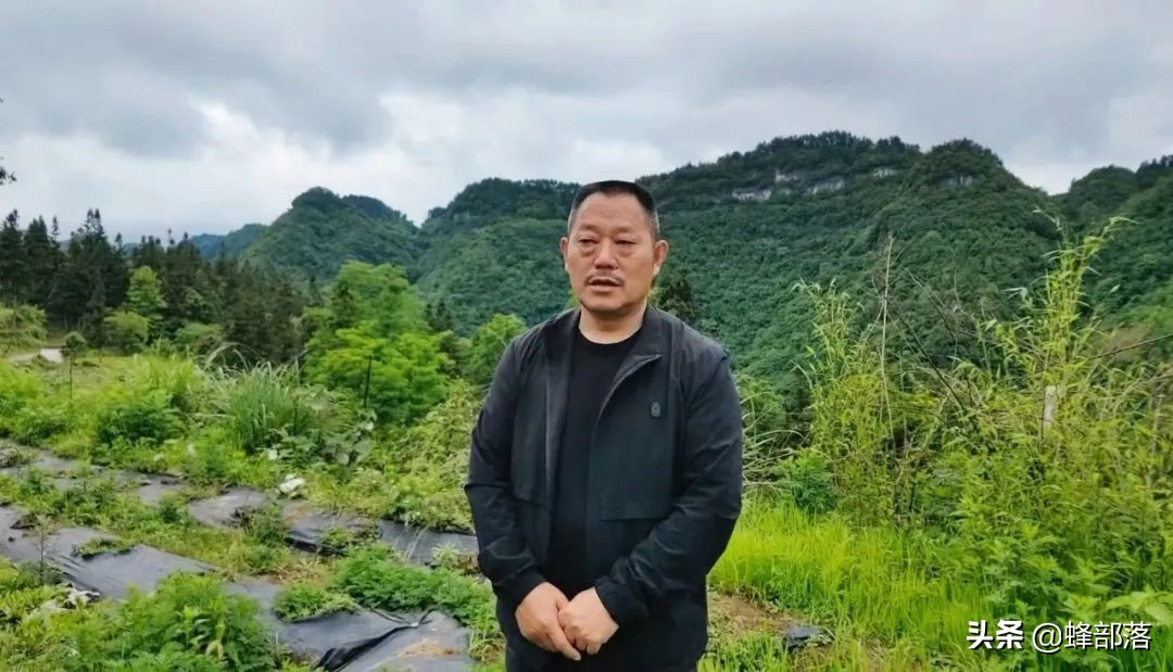 养蜂知识与技术的培训方法,养蜂知识和技术视频讲解教程