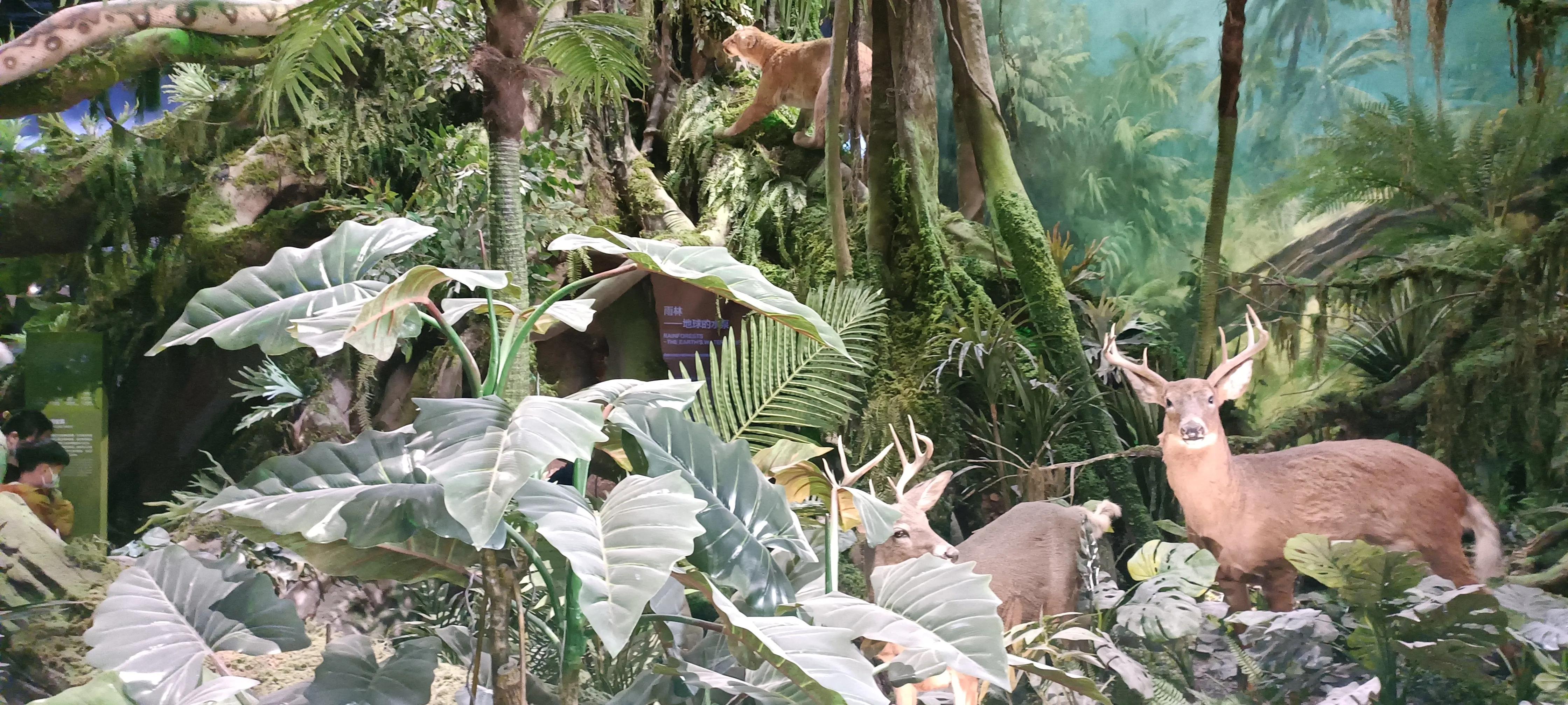 河南省科技馆新馆中标公示,河南省科技馆新馆预约门票