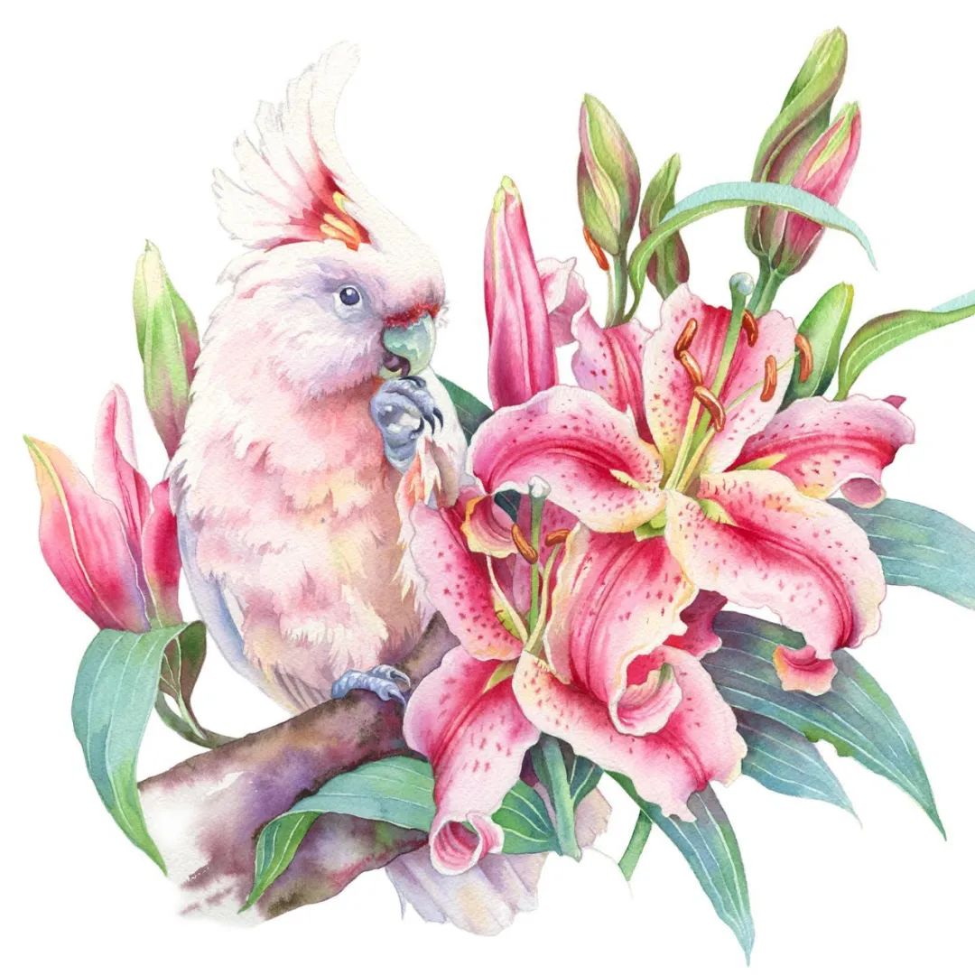 用色大胆的水彩作品,大神级水彩作品看完肯定不后悔