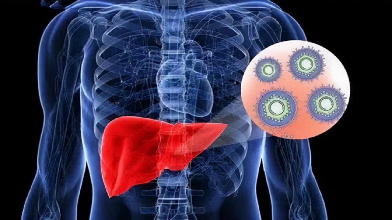 护肝片养生谣言,长期吃护肝片对身体有什么影响