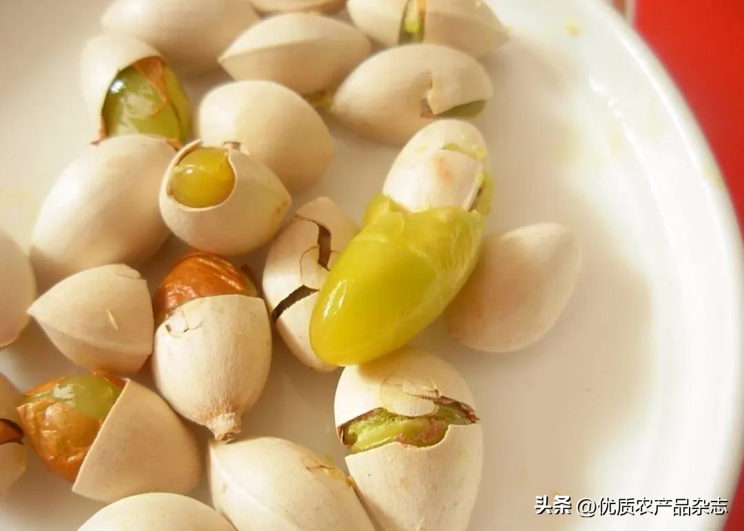 秋风起银杏叶黄,秋风起银杏黄原版