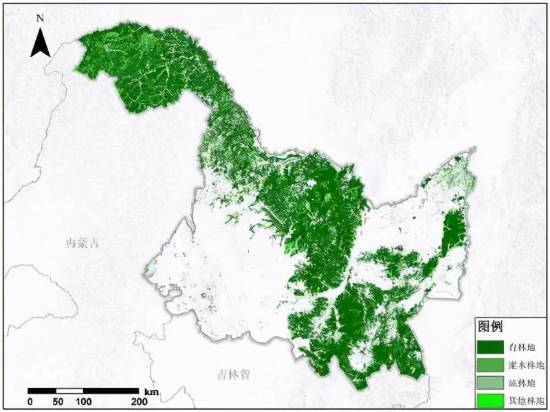 东北虎完达山一号咬死人了吗,完达山一号东北虎多少重