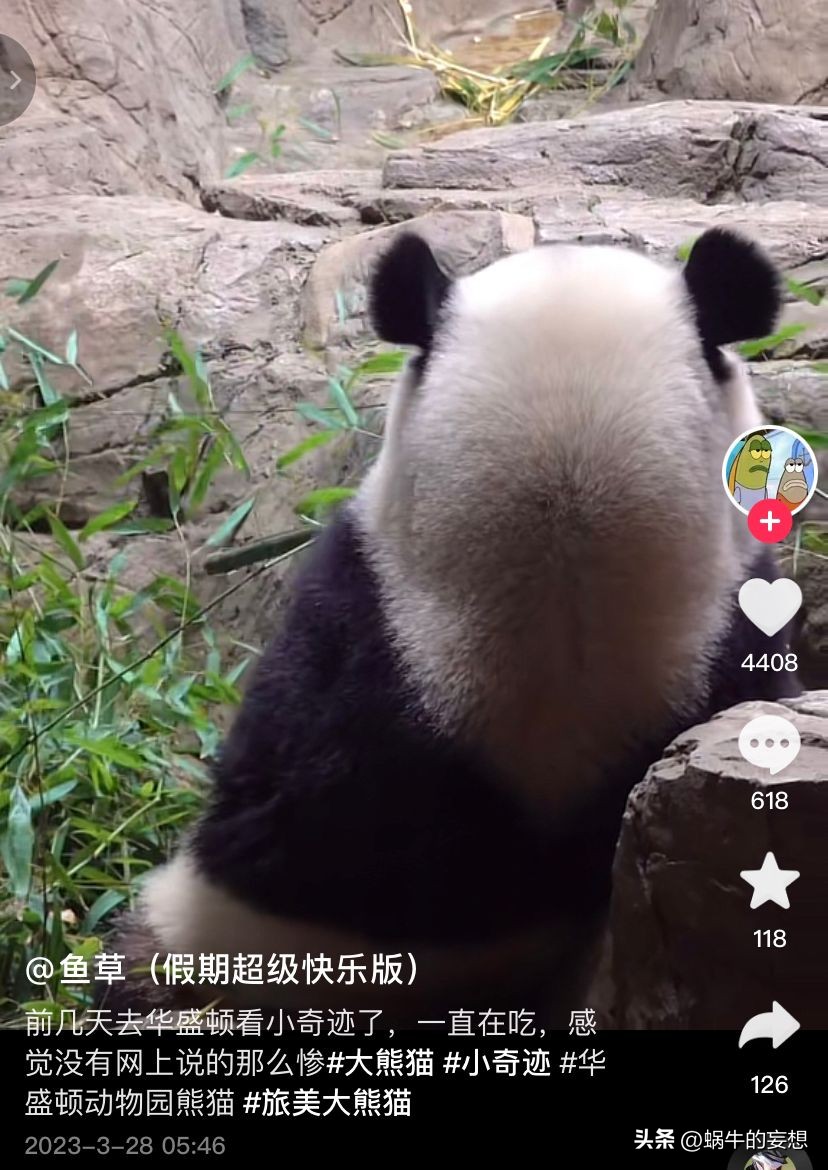 美香一家状况令人担忧,美香得了啥病