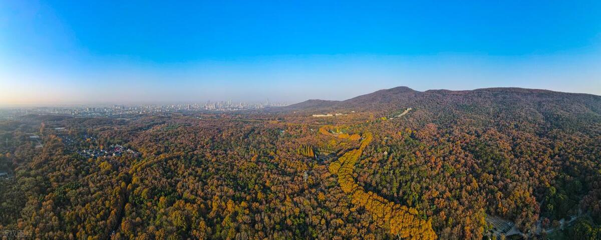 南京2022预计gdp排名,南京历史最高gdp