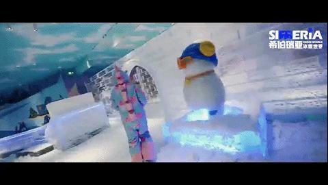 五棵松冰雪中心冰雪世界,五棵松冰雪馆