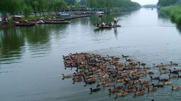 淄博义乌小商品城旅游专线位置,淄博旅游公交专线