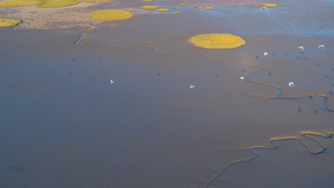 大连的海今天什么样,今天的海是什么样子
