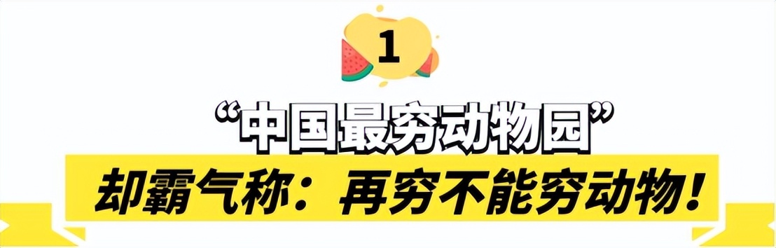 中国最大无人动物园,中国十大动物园红山动物园