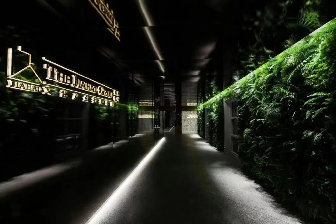 亚洲婚纱女王杀进内娱，女星们集体坐不住了