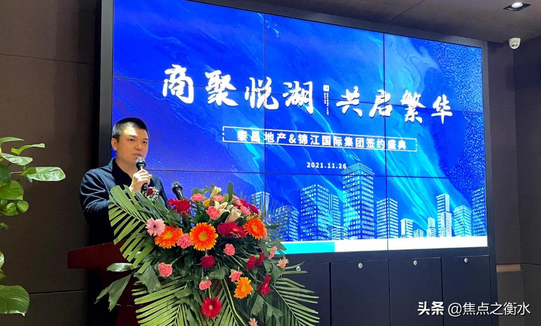 衡水大案件,衡水大事件