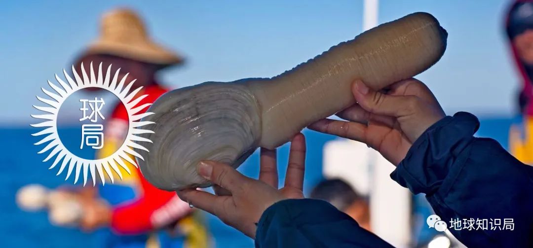 *慰自**太多，会变短么|地球知识局