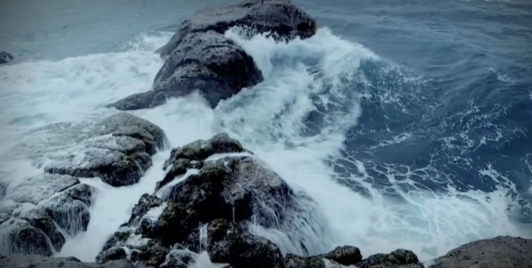 苏轼治愈了我的精神内耗,讲一下苏轼的人生