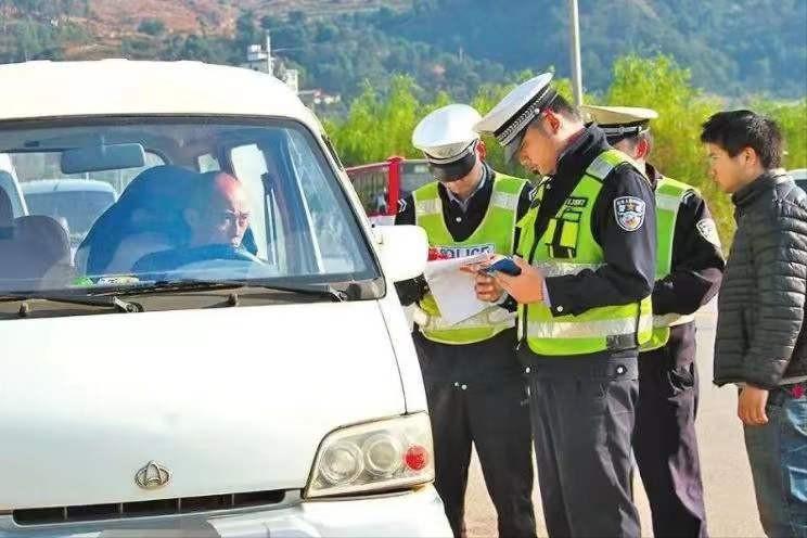 男子拉白菜被查交警回应,司机拉大白菜被处罚