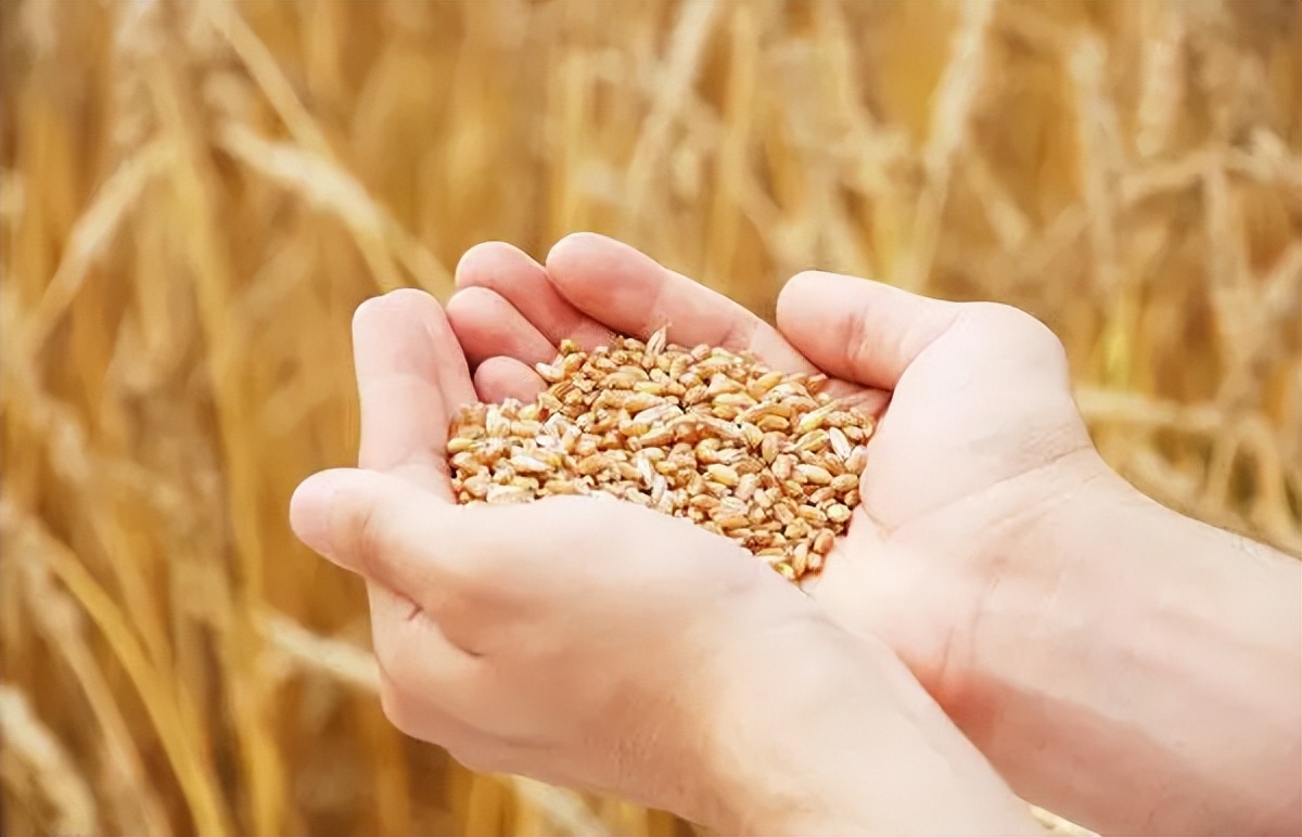 假货行业利润,90%假货撑起300亿市场