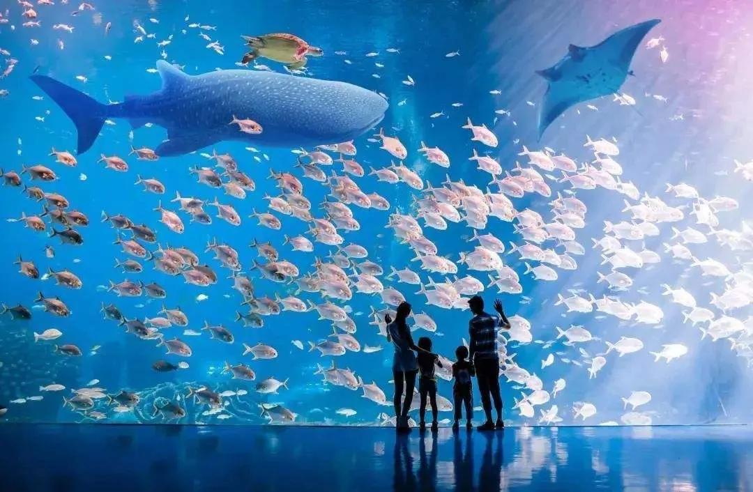 珠海最好的养老海滨城市,珠海适宜养老居住吗