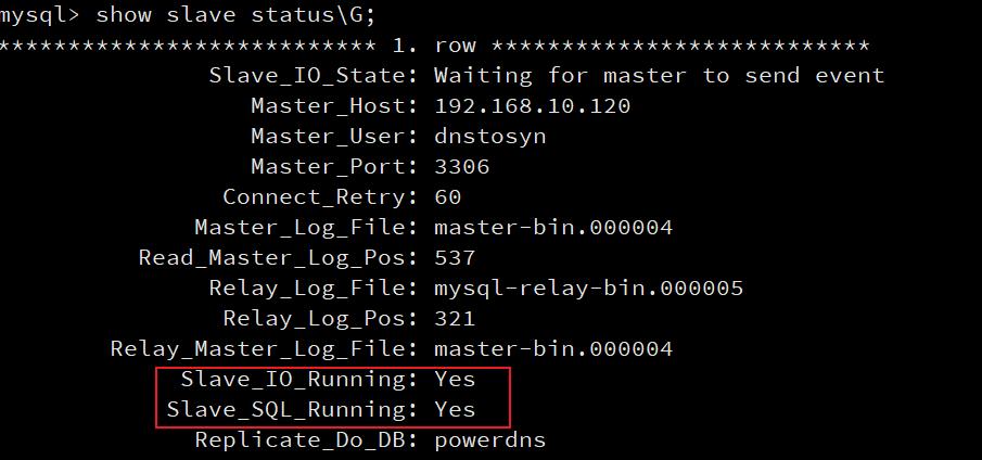 dns初学者教程免费,dns项目详细讲解