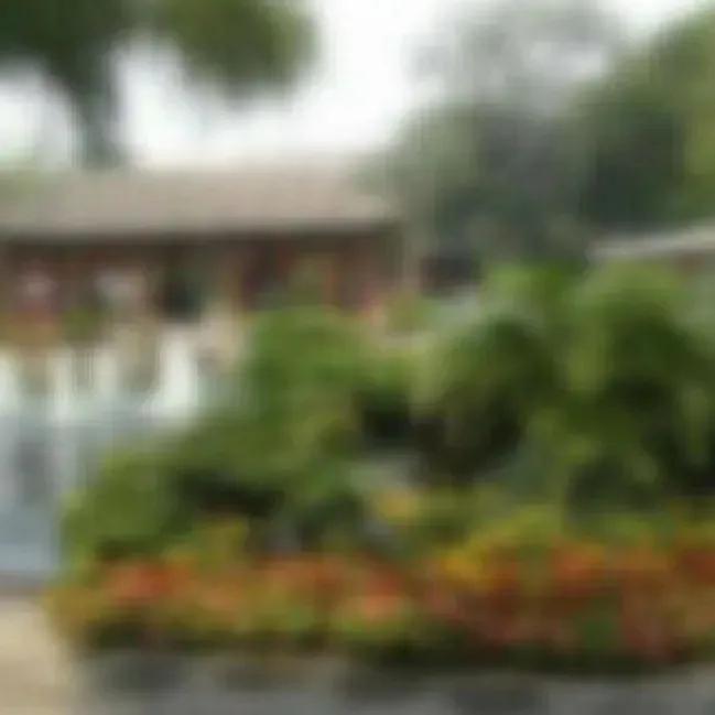 啥？近视眼在古代是富贵病