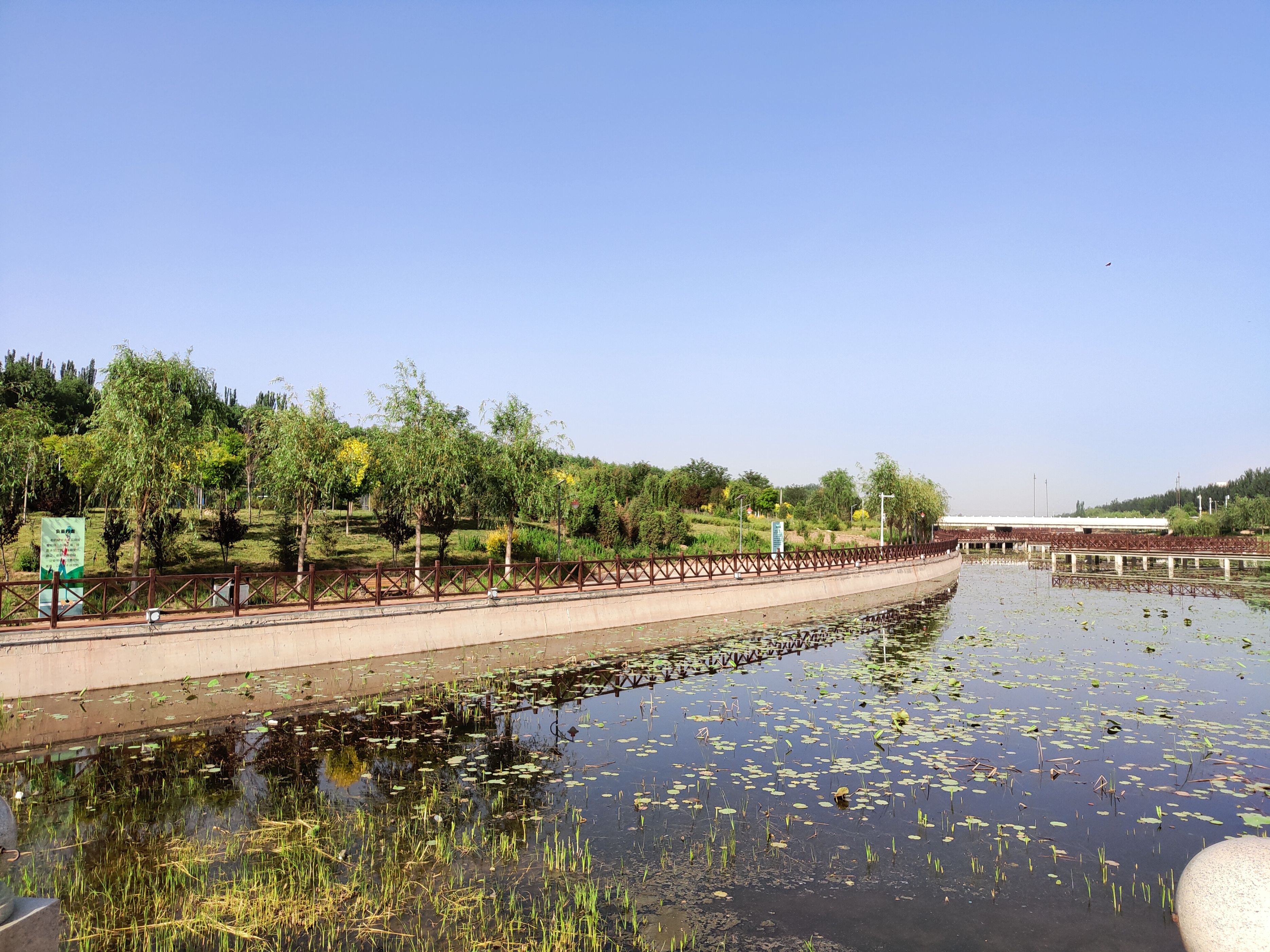 后疫情时代创新创业的趋势,一个疫情下的新创业行业