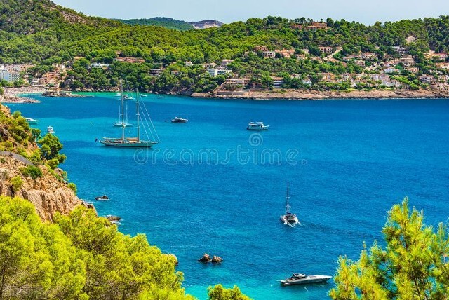 马云马略卡最新消息,马云马略卡岛