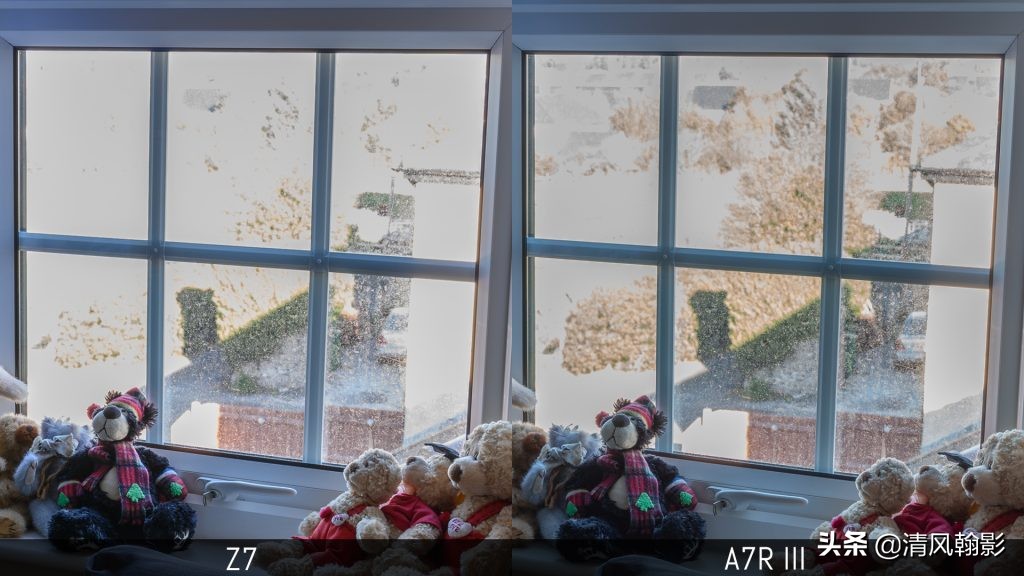 拍鸟用尼康d6好还是z7ii好,拍鸟买r6还是r5