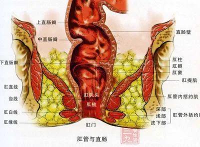 治结肠炎直肠炎的药,直肠炎结肠炎肛管炎