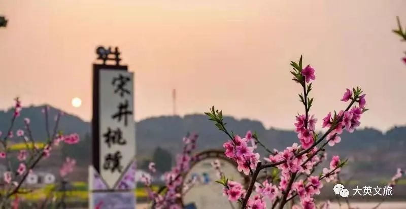 閬囪澶х編鍥涘窛,閬囪澶х編娌圭敾