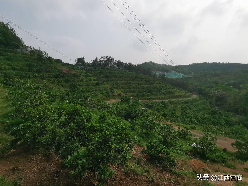 赣州融资贷款新政策,赣州企业贷款政策