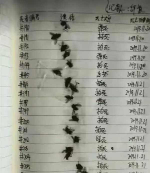 为什么鳄龟长大了背甲会变,鳄龟为什么养的背甲很大