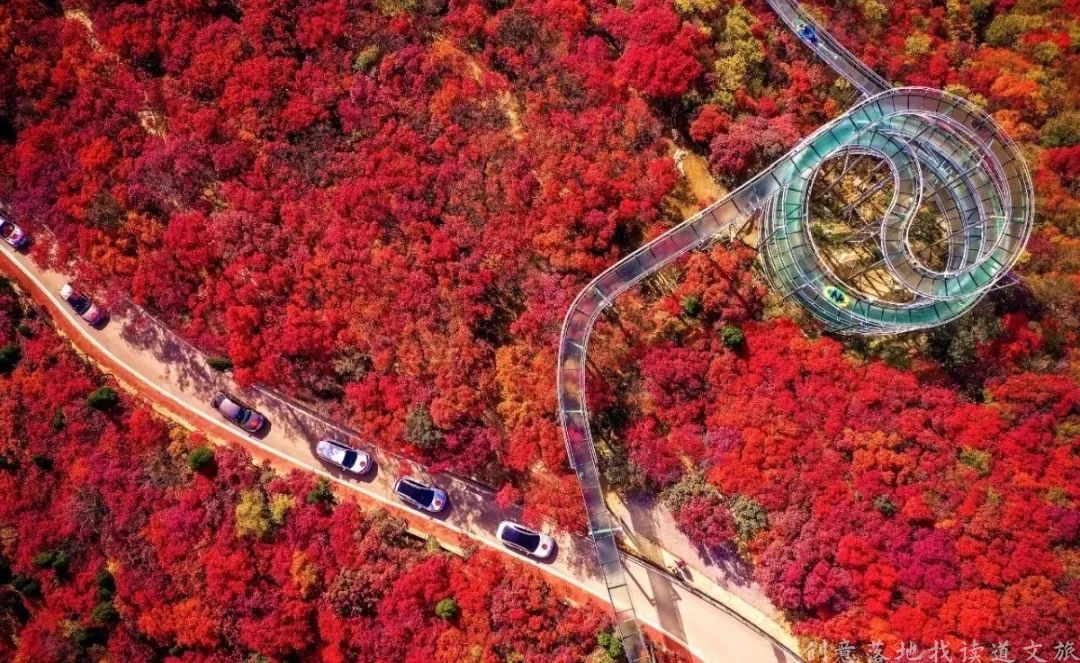 整村运营,整村运营顶层策划