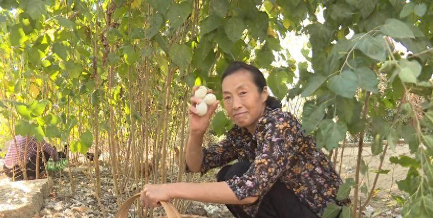 独守荒山17载，倔强姐与土鸡为伴