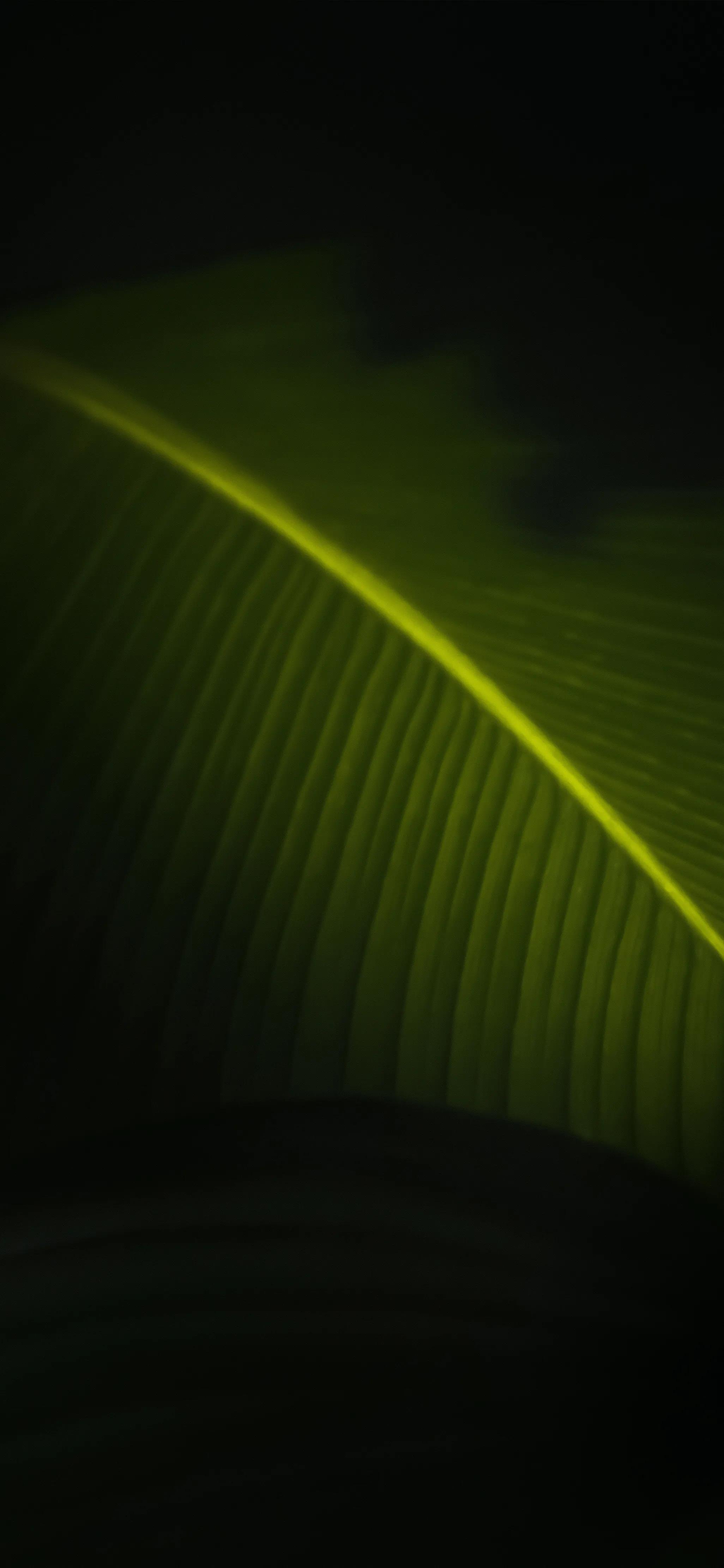 高清壁纸全面屏手机,围棋壁纸高清全面屏