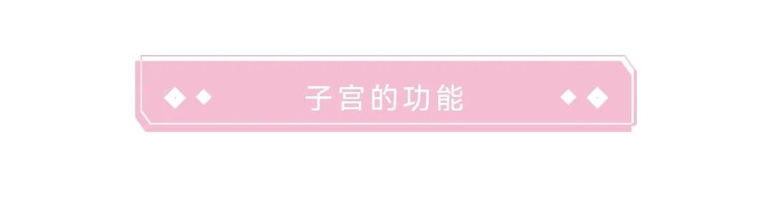 子宫大小与妊娠周数相符,妊娠子宫体积