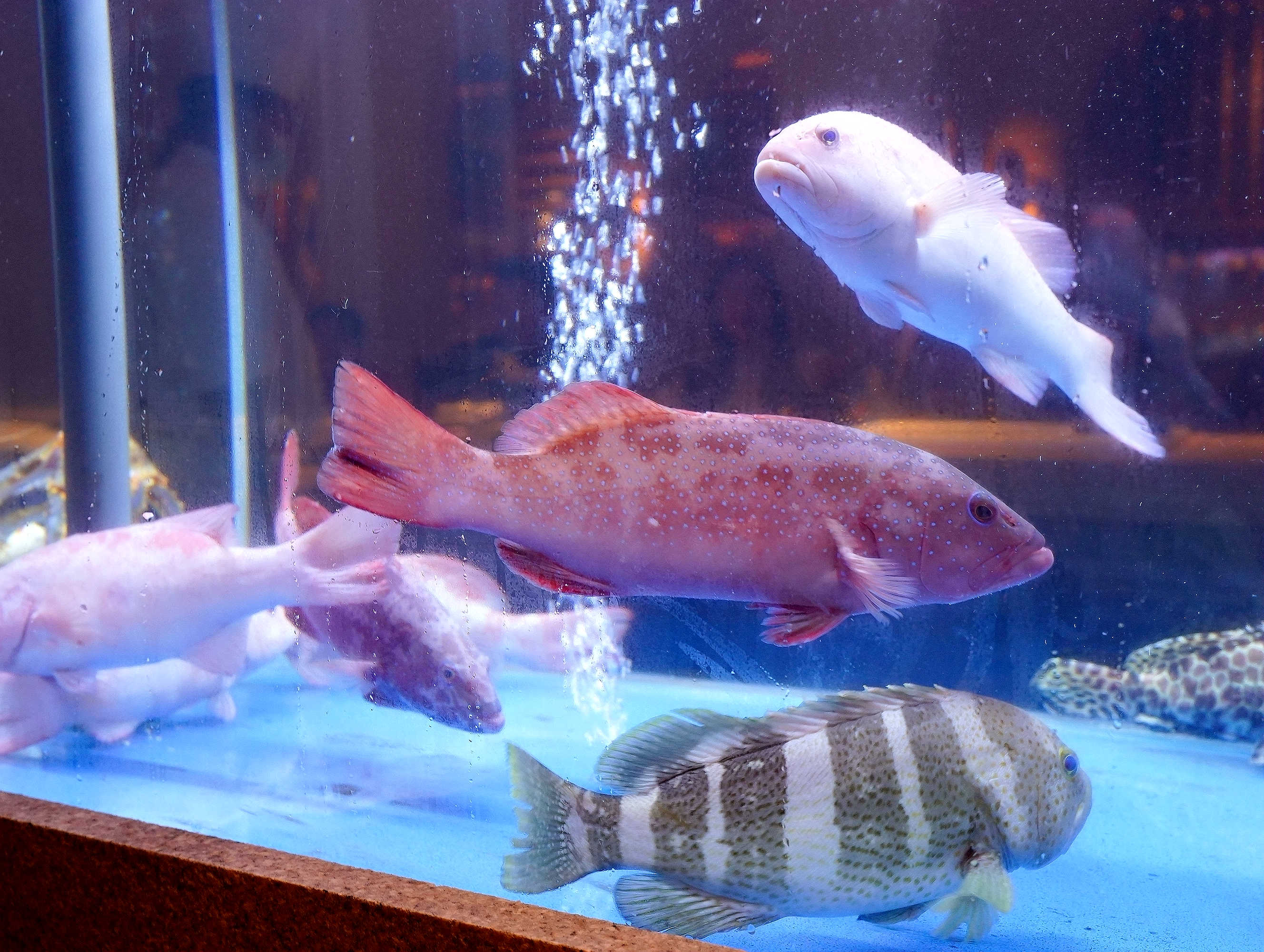 用小锅吃火锅的快乐谁懂！