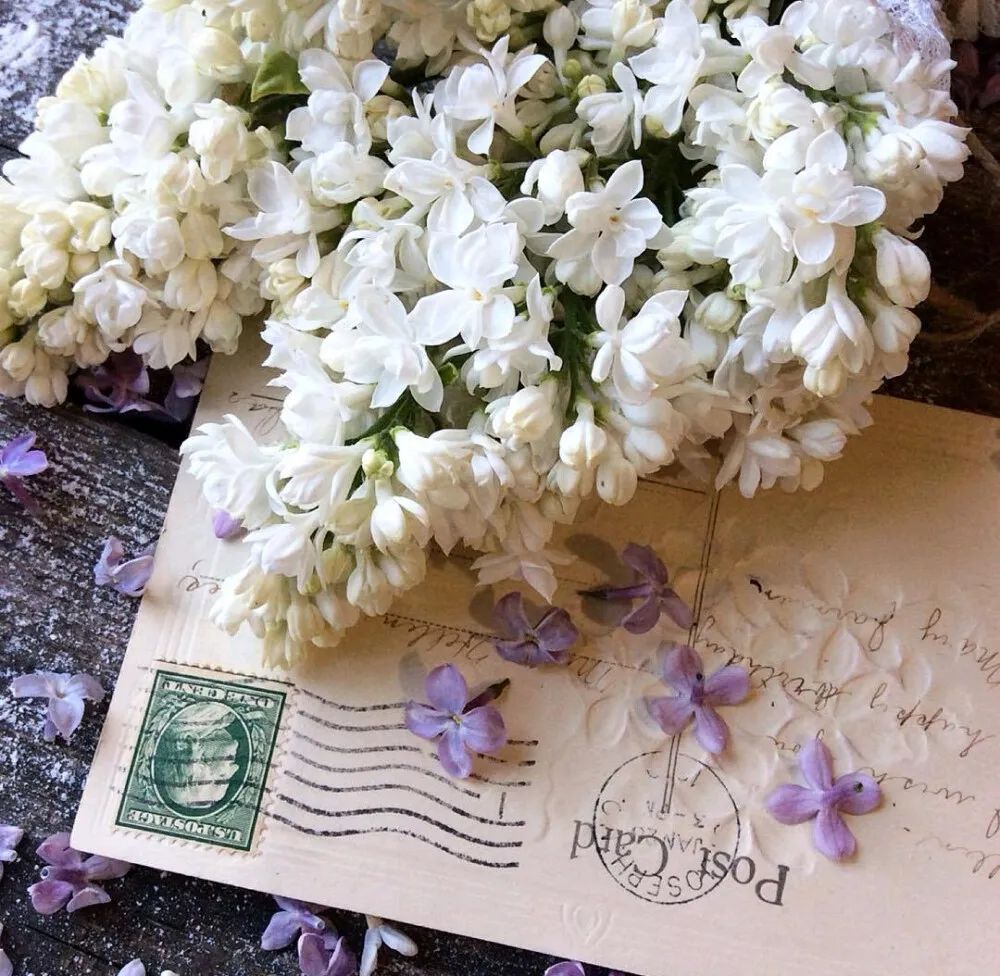 棋逢对手第四部,棋逢对手第五部3