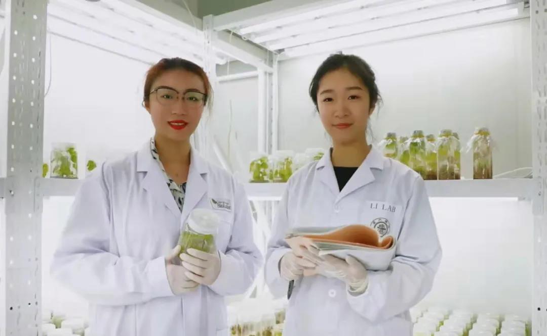 互联网创新创业大赛获奖作品,孙思捷全运会