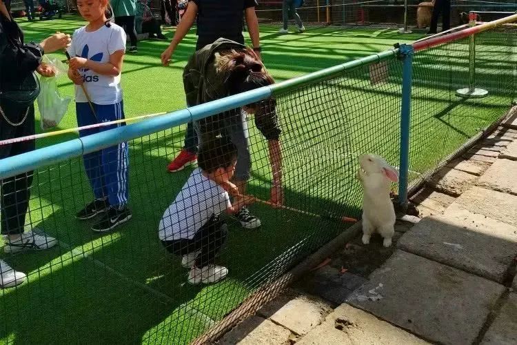 【FENG娱】王佐镇:娱乐+科普+自然,暑假解锁亲子出游新方式!