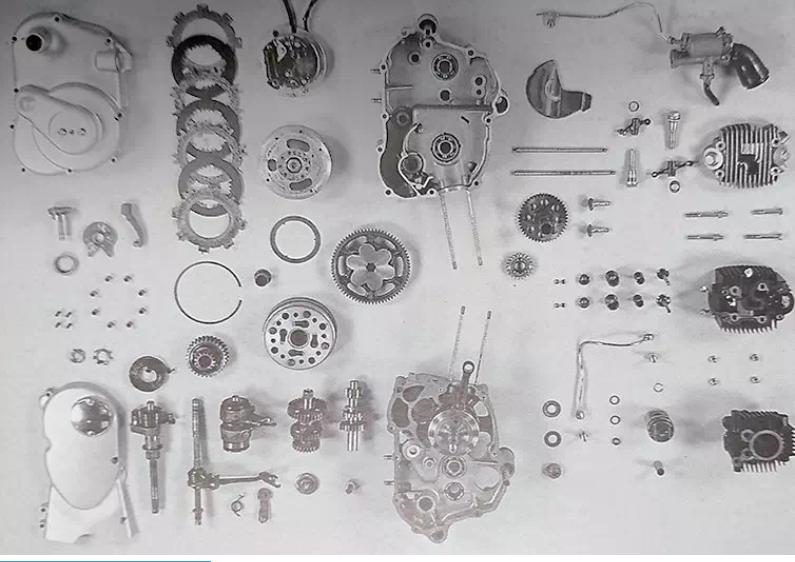 二轮考古学-本田幼兽编年史：幼兽出笼（1952-1963）