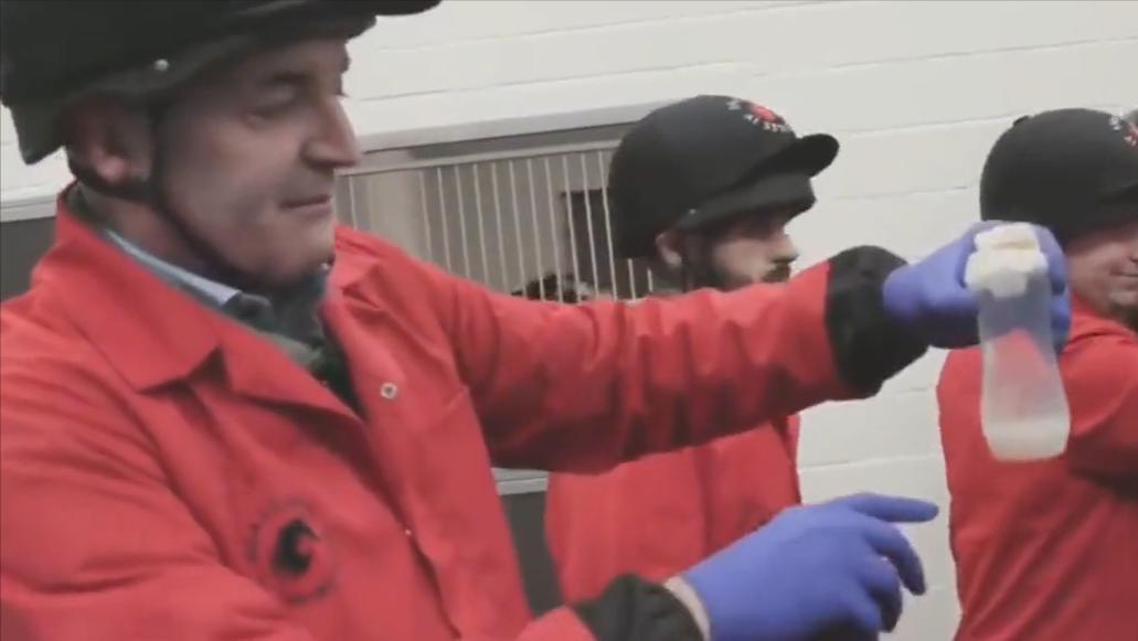 盘点十种神奇动物的价格,盘点五种有巨毒的生物