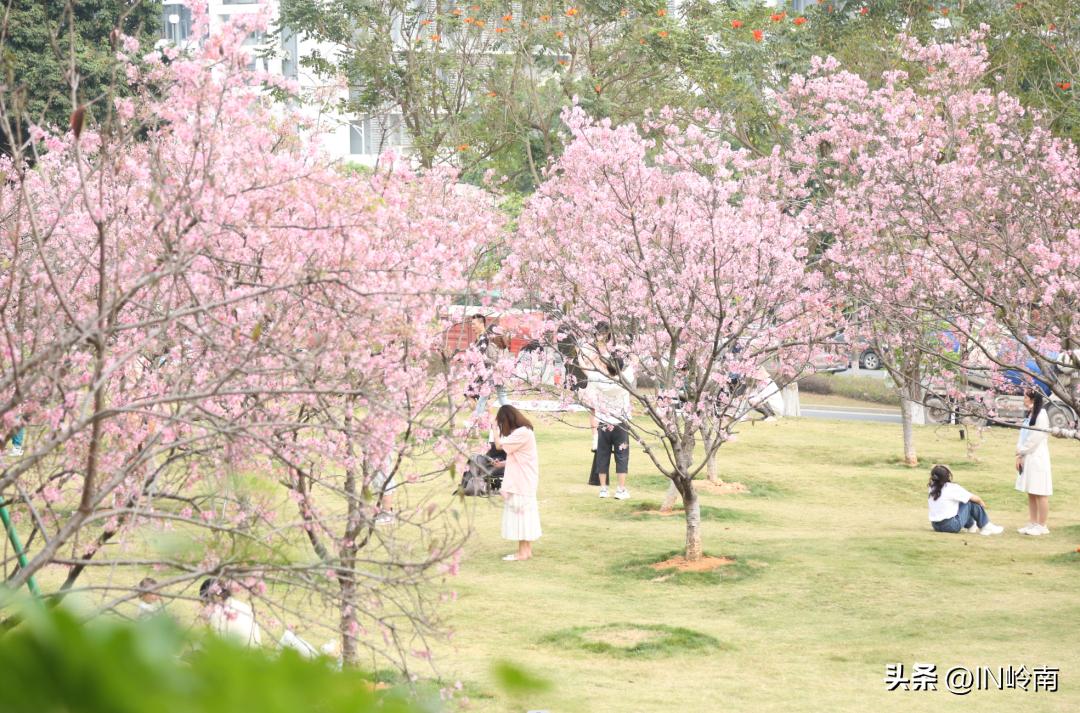 虹消雨霁斗转星移,虹销雨霁