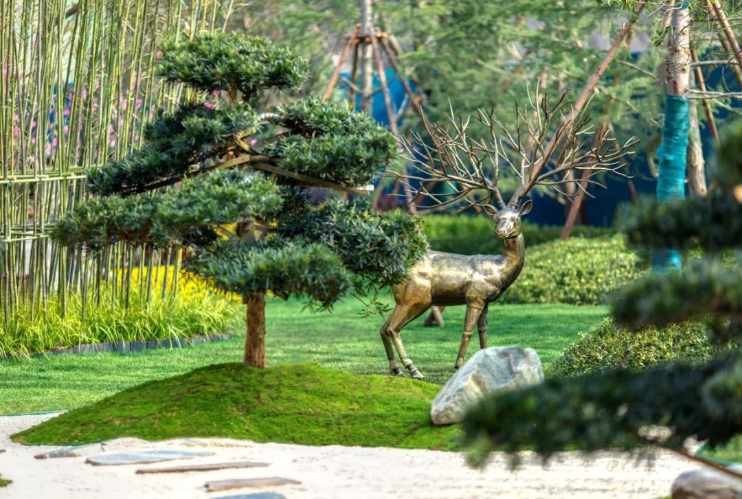 听说，你家的园林会唱歌？