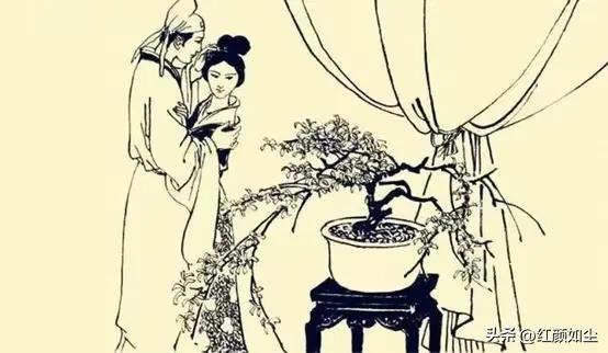 民间故事阴婚动画,民间故事阴婚下集