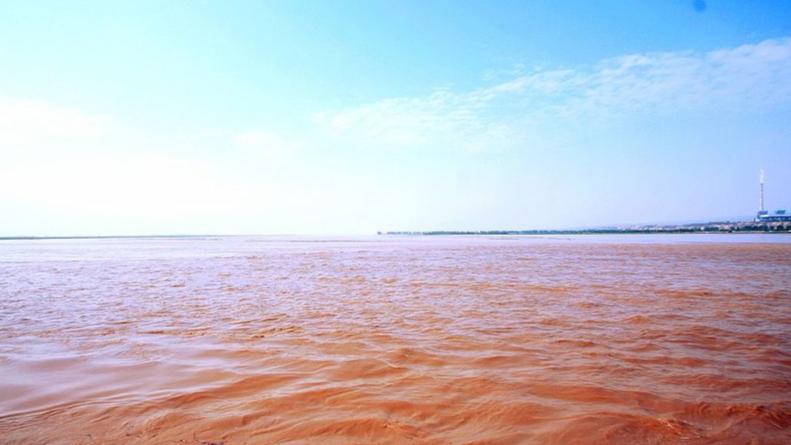 白居易最经典的七言律诗,白居易最简单的五言绝句