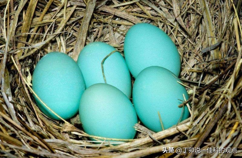 鍝佺墝璇嗗埆绯荤粺,鍝佺墝鎵弿璇嗗埆